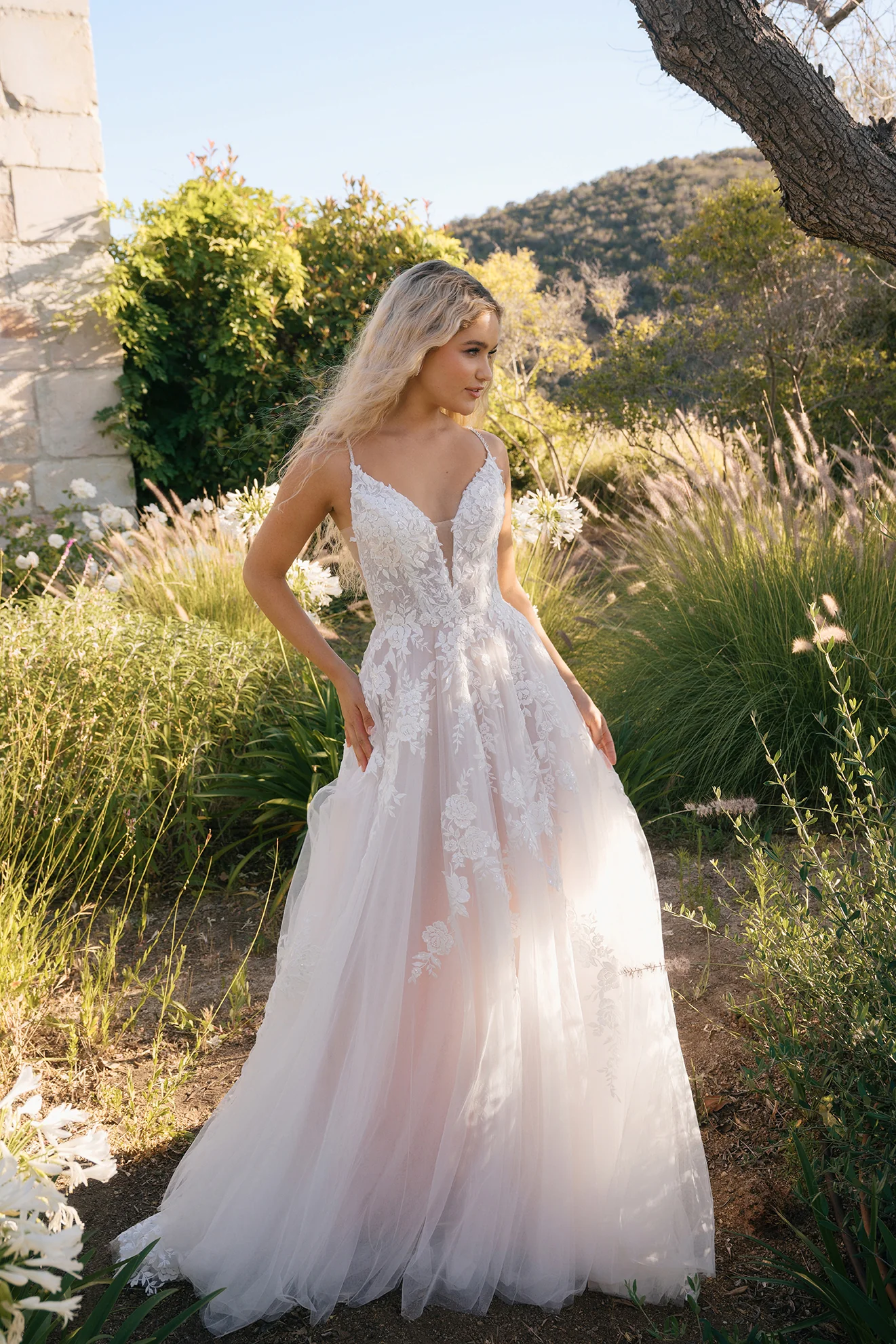 Allure – R3906LNC